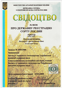 Арктур - насіння кукурудзи