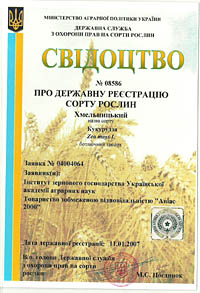 Хмельницкий - семена кукурузы