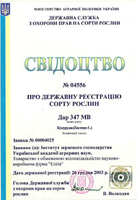 Дар 347 МВ - семена кукурузы