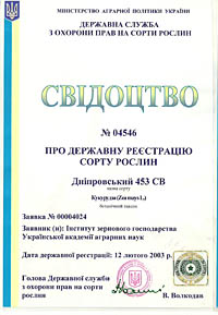 Днипровский 453 СВ - семена кукурузы