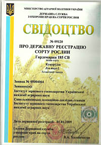 Гардемарин 185 СВ - семена кукурузы