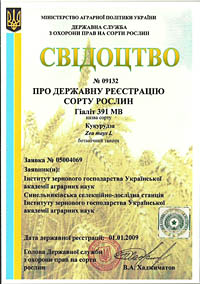 Гиалит 391 МВ - семена кукурузы
