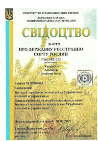 Гиас 182 СВ - семена кукурузы