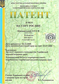 Кицманский 215 СВ - семена кукурузы