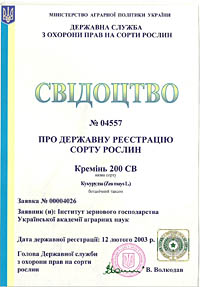 Креминь 200 СВ - семена кукурузы