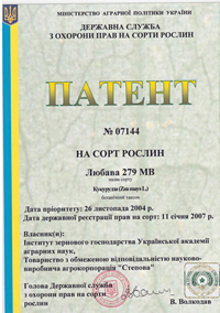 Любава 279 МВ - семена кукурузы