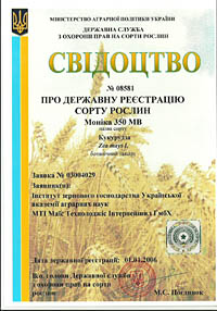 Моника 350 МВ - семена кукурузы