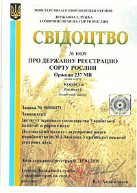 Оржиця 237 МВ - семена кукурузы