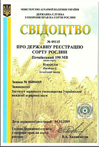 Почаивский 190 МВ - семена кукурузы