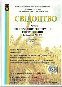 Розивский 311 СВ - семена кукурузы