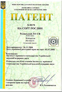 Розивский 311 СВ - семена кукурузы