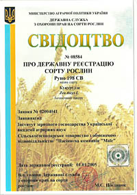 Руно 198 СВ - семена кукурузы
