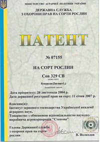Сов 329 СВ - семена кукурузы