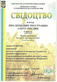 Спокуса - насіння кукурудзи