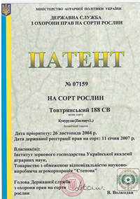 Товтрянский 188 СВ - семена кукурузы