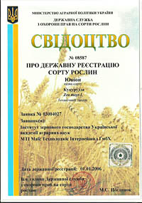 Юнион - семена кукурузы
