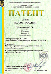 Ушицкий 167 СВ - семена кукурузы