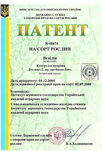 Венілія - насіння кукурудзи