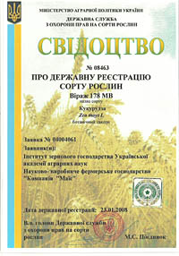 Вираж 178 СВ - семена кукурузы