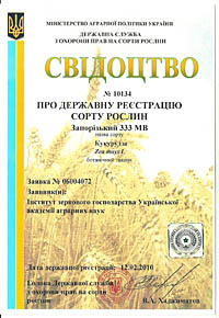 Запоризький 333 МВ - семена кукурузы