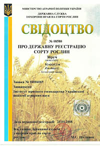 Збруч - семена кукурузы