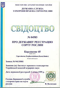 Карликове 45 - Насіння сорго віникове