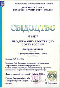 Дніпровський 39 - Насіння сорго зернового