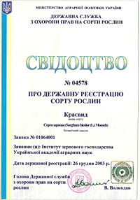 Краевид - Семена сорго зернового