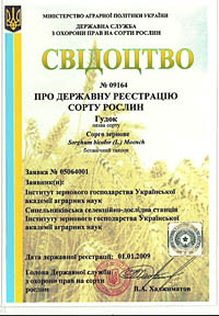 Гудок - Гібрид сорго зернового