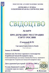 Степовий 8 F1 - Насіння сорго зернового