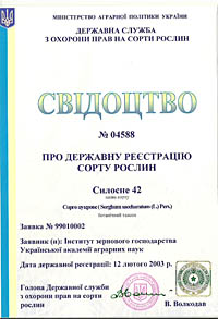 Силосне 42 - Насіння сорго цукрового