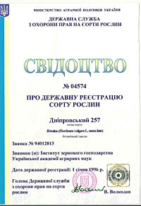 Дніпровський 257 - Насіння ярого ячменю